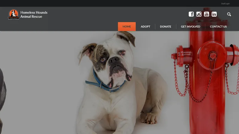Homeless Hounds website homepage